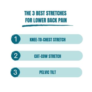 The Best Stretches For Lower Back Pain
