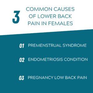 Common causes of lower back pain in female. 